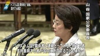 在线观看nhk,探索日本文化的新窗口 第2张 在线观看nhk,探索日本文化的新窗口 第2张